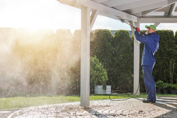 Best Paint Preparation  in Carson City, MI