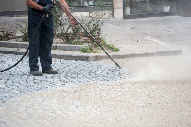 Best Post-Construction Pressure Washing  in Carson City, MI