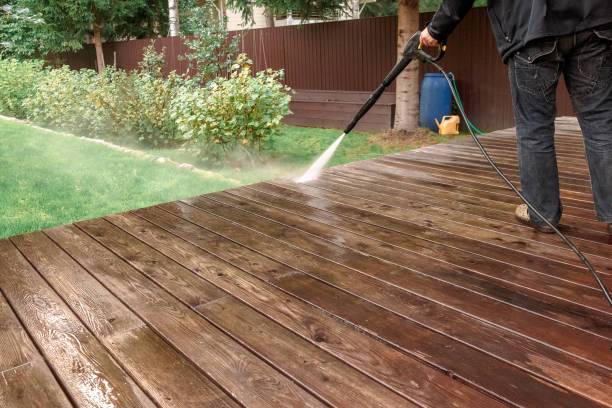 Best Building Exterior Washing  in Carson City, MI