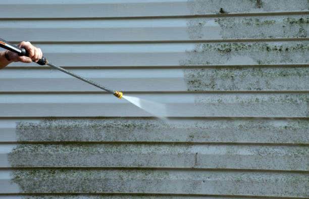 Professional  Pressure Washing Services in Carson City, MI