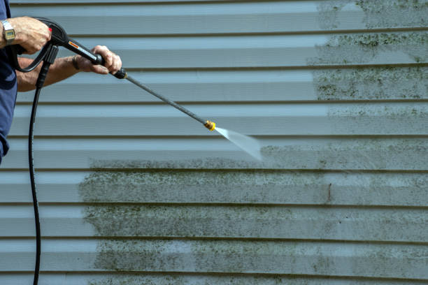 Best Patio and Deck Pressure Washing  in Carson City, MI