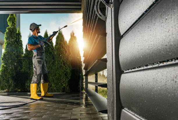 Best House Exterior Washing  in Carson City, MI
