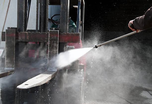 Best Rust Removal  in Carson City, MI